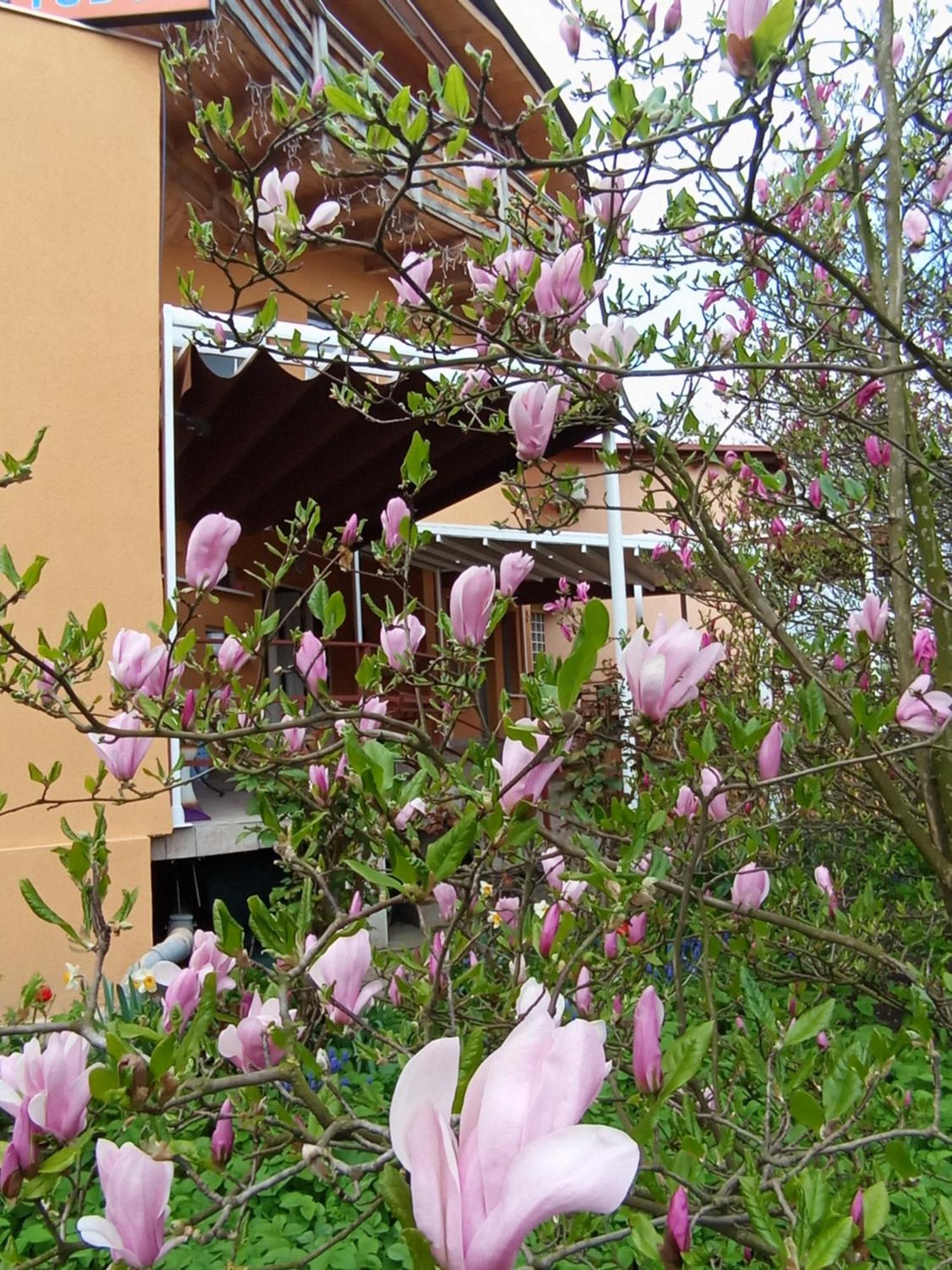 Casa Tudor Turda Exterior photo