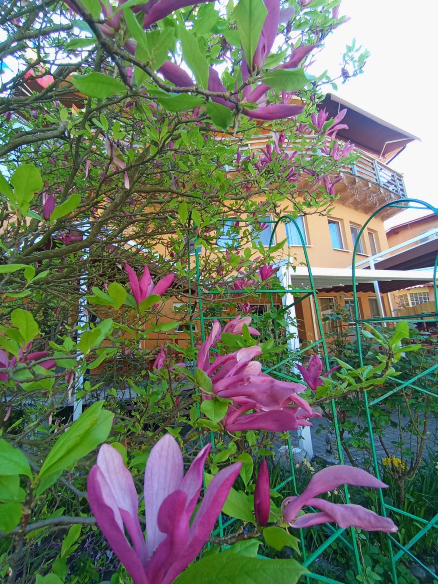 Casa Tudor Turda Exterior photo